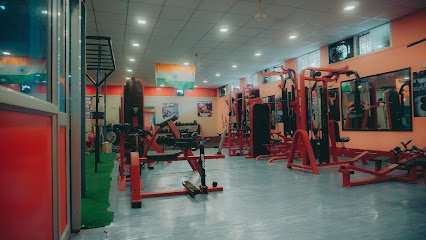 SharkFit Gym