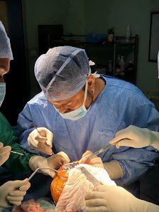Dr Siddharth Pradhan | MBBS(AIIMS) | MS ORTHOPAEDICS (AIIMS)