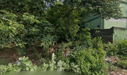 Sidhivinayak institute +2 science