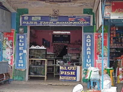 Blue fish Aquarium