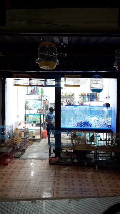 SAI UNIQUE PETS & AQUARIUM FISH