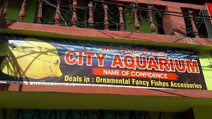 City Aquarium